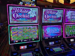 Habanero slot game interface showing payline structure